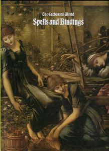 Seller image for The Enchanted World Series: Spells and Bindings for sale by Book Haven