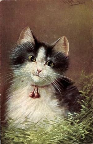 Künstler Ansichtskarte / Postkarte Müller, August, Katze mit schwarz weißem Fell im Gras