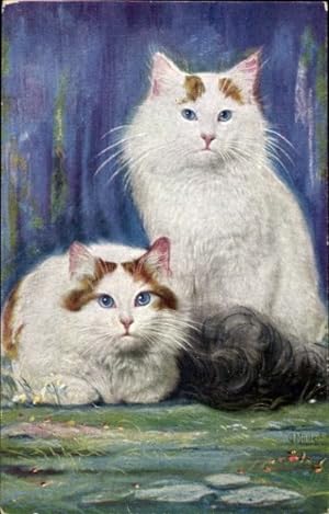 Künstler Ansichtskarte / Postkarte Müller, G., Zwei weiße Katzen