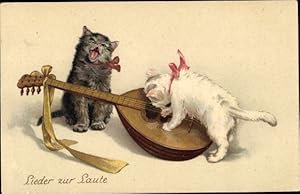 Ansichtskarte / Postkarte Lieder zu Laute, Singende Katzen