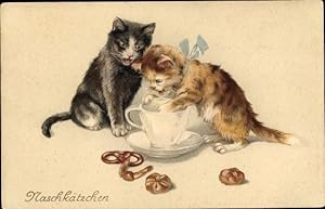 Ansichtskarte / Postkarte Zwei junge Katzen schauen in eine Teetasse, Gebäck