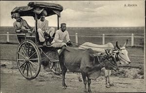 Ansichtskarte / Postkarte Indien, Fuhrwerk, Rinder, Männer in Trachten, Turban