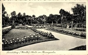 Ansichtskarte / Postkarte Gorzów Wielkopolski Landsberg an der Warthe Ostbrandenburg, Rosengarten