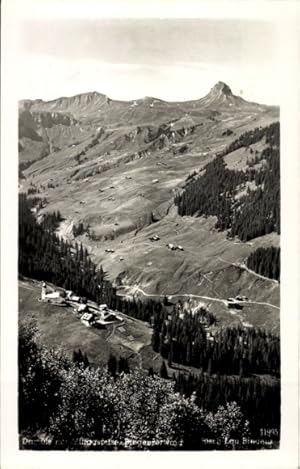 Ansichtskarte / Postkarte Bregenz am Bodensee Vorarlberg, Panorama, Bregenzer Wald