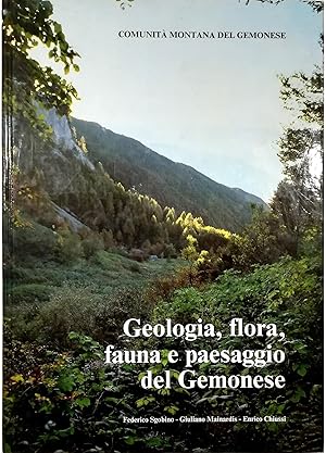 Geologia, flora, fauna e paesaggio del Gemonese