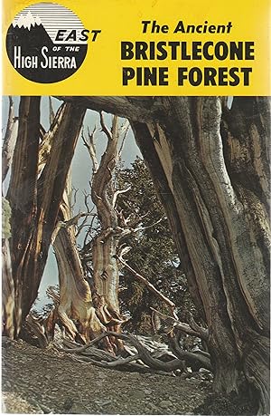 Seller image for Living Then . Living Now . The Ancient Bristlecone Pine Forest for sale by Book Booth