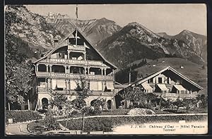 Ansichtskarte Chateau d`Oex, Hotel Pension Torrent gegen die Berge