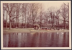 Paesi Bassi 1954, Keukenhof, Parco Botanico Olandese, Fotografia vintage