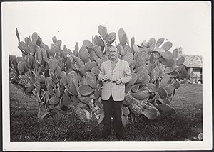 Pianta grassa gigante, Botanica, 1950 Fotografia vintage