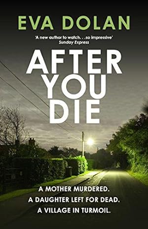 Seller image for After You Die: A Mother Murdered. a Daughter Left for Dead. a Village in Turmoil.: 3 (DI Zigic & DS Ferreira) for sale by WeBuyBooks