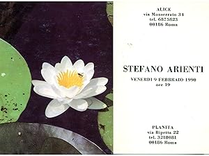 Seller image for Stefano Arienti for sale by Studio Bibliografico Marini