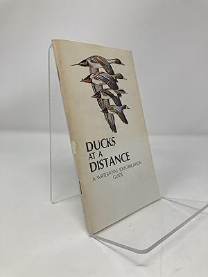 Ducks at a Distance