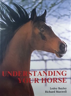 Understanding Your Horse: How To Overcome Common Behaviour Problems