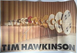 Tim Hawkinson: Spin Sink Poster