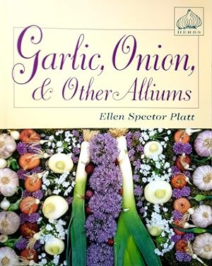 Garlic, Onion, And Other Alliums