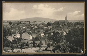 Ansichtskarte Dahlen / Sa., Ortsansicht vom Weinberg mit dem Colmberg