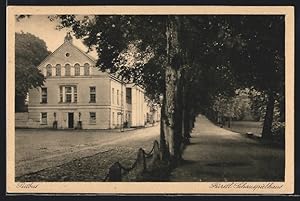 Ansichtskarte Putbus, Fürstliches Schauspielhaus