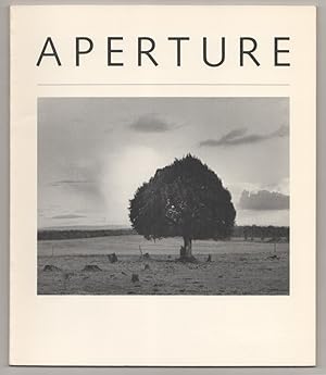 Seller image for Aperture 82 for sale by Jeff Hirsch Books, ABAA