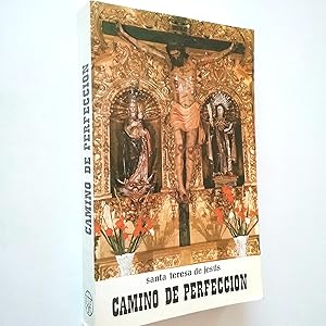 Seller image for Camino de perfeccin for sale by MAUTALOS LIBRERA