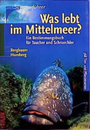 Bild des Verkufers fr Was lebt im Mittelmeer?: Ein Bestimmungsbuch fr Taucher und Schnorchler zum Verkauf von Antiquariat Armebooks