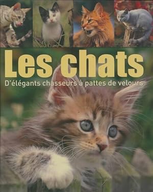 Les chats - Collectif