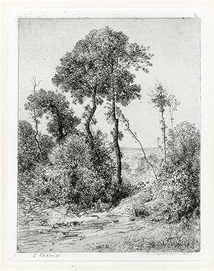 Antique Master Print-TREES-BUSHES-Achard-c.1851