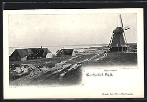 Ansichtskarte Munkmarsch, Ortspartie mit Windmühle