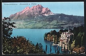 Ansichtskarte Hertenstein /Vierwaldstättersee, Hertenstein und Pilatus