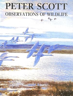 Image du vendeur pour Observations of Wild Life mis en vente par M Godding Books Ltd