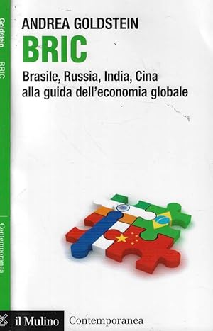 Bric Brasile, Russia, India, Cina alla guida dell'economia globale