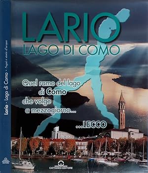 Imagen del vendedor de Lario - Lago di Como Sogni e storie d'acqua a la venta por Biblioteca di Babele