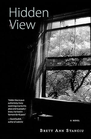 Seller image for Hidden View for sale by Redux Books