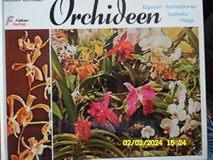 Orchideen. Eigenart, Schnittblumen, Topfkultur, Pflege Orchideen in ihrer exotischen Pracht als S...