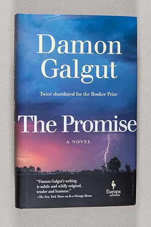 Imagen del vendedor de The Promise; A Novel a la venta por Christopher Morrow, Bookseller