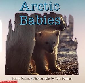 Artic Babies