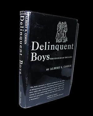 Immagine del venditore per Delinquent Boys: The Culture of the Gang venduto da Marc J Bartolucci