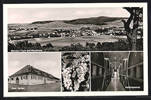 Bild des Verkufers fr Ansichtskarte Flein /Kr. Heilbronn, Weingrtnergenossenschaft, Kelter, Keller, Gesamtansicht zum Verkauf von Bartko-Reher