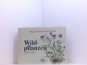 Bild des Verkufers fr Wildpflanzen Mitteleuropas (Wegweiser durch die Natur) [Bearb.: Oskar Sebald] zum Verkauf von Book Broker