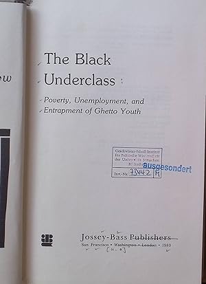 Black Underclass: Poverty, Unemployment and Entrapment of Ghetto Youth