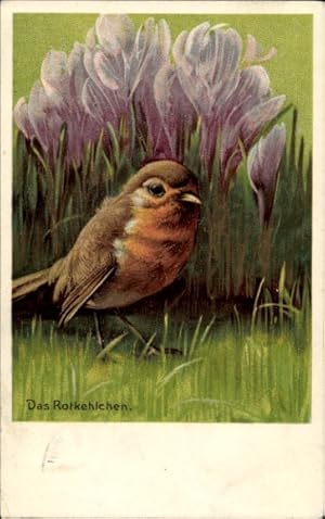 Ansichtskarte / Postkarte Vogel, Rotkehlchen, Blumen