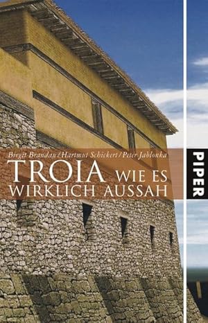 Bild des Verkufers fr TROIA: Wie es wirklich aussah zum Verkauf von Antiquariat Armebooks