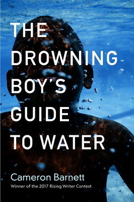 Immagine del venditore per The Drowning Boy's Guide to Water (Paperback or Softback) venduto da BargainBookStores