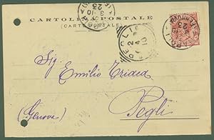 Regno. PERFIN. DAMMAN e C. Cartolina commerciale del 31.3.1910 affrancata con cent. 10 Leoni perf...