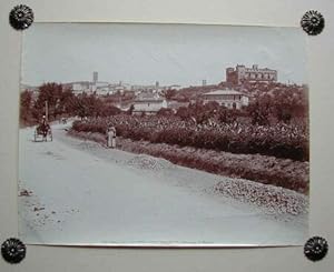 Lago Trasimeno - Magione (Perugia). Veduta generale, animazione con calesse. Fotografia originale...