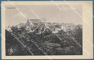 CEPPALONI, Benevento. Cartolina d'epoca viaggiata