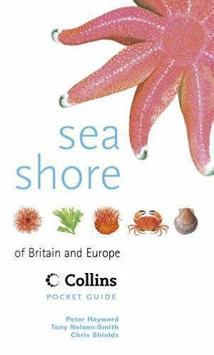 Seller image for Collins Pocket Guide    Sea Shore of Britain and Europe for sale by WeBuyBooks 2