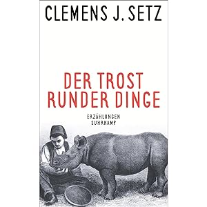 Seller image for Der Trost runder Dinge: Erzhlungen (suhrkamp taschenbuch) for sale by artbook-service