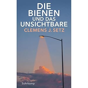 Seller image for Die Bienen und das Unsichtbare (suhrkamp taschenbuch) for sale by artbook-service