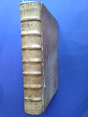 Geographicorum commentarios (Basilæ, 1523, 566 p.); De orbis situ libri tres [De chorographia], (...