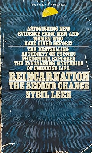 Reincarnation: The Second Chance